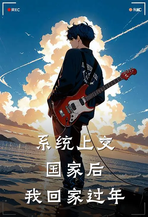 系统上交国家后，我回家过年