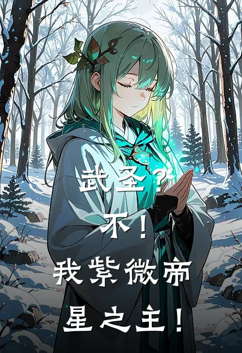 武圣？不！我紫微帝星之主！